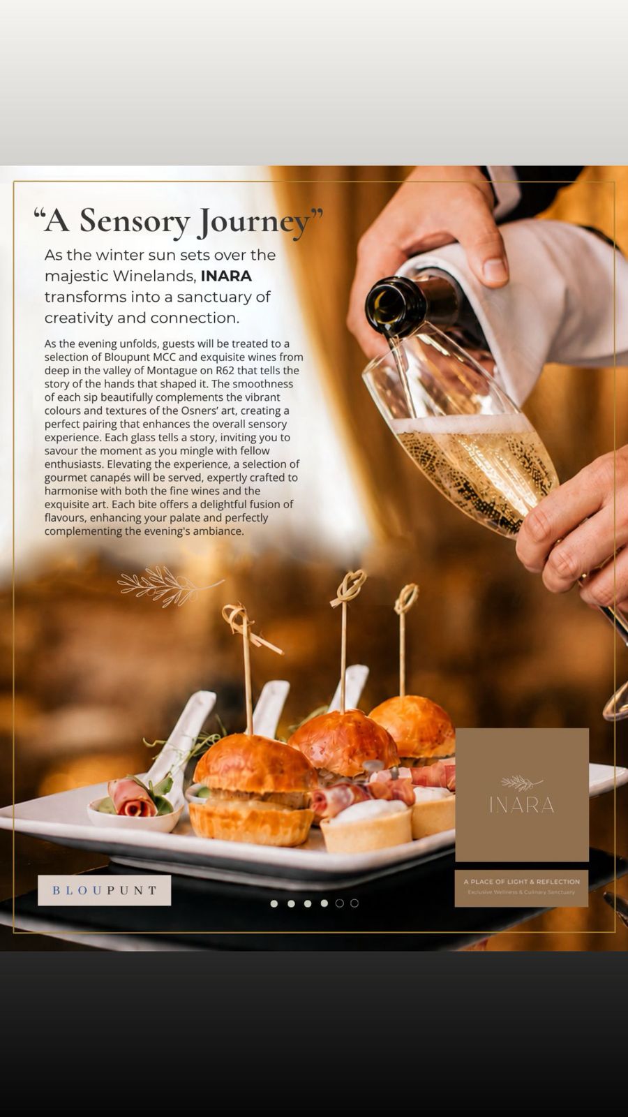 Bloupunt wine and gourmet canapes pairing